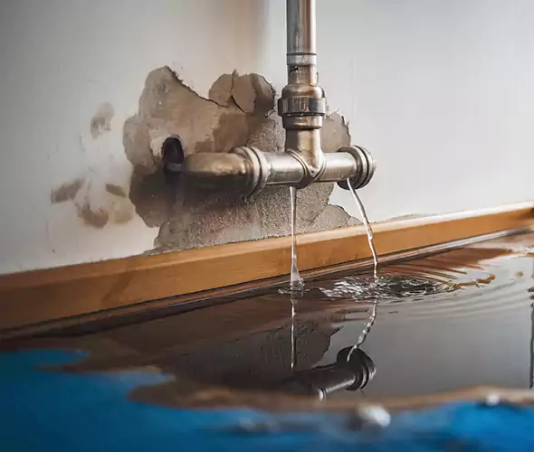 Professional Water Damage Restoration Experts in West Haven, CT — Fast, Reliable & Certified