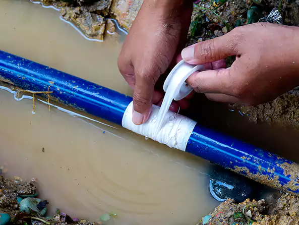  Why Choose West Haven Plumbing Pro for Leak Detection in West Haven, CT?]