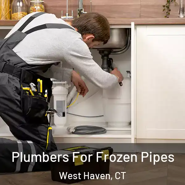  Plumbers For Frozen Pipes West Haven, CT
