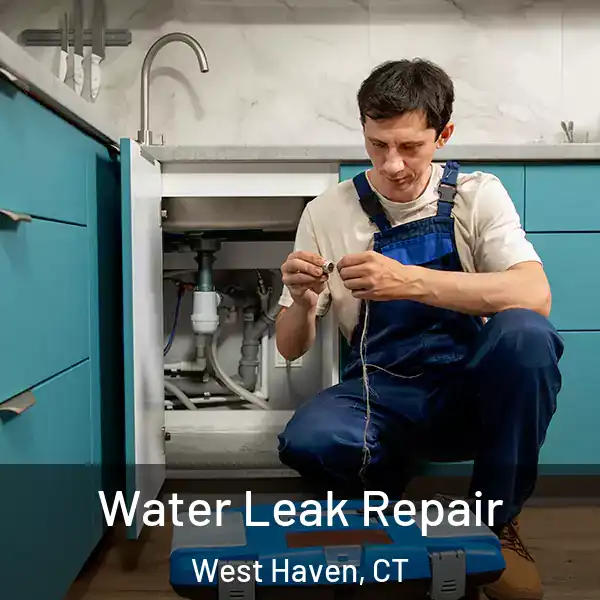  Water Leak Repair West Haven, CT